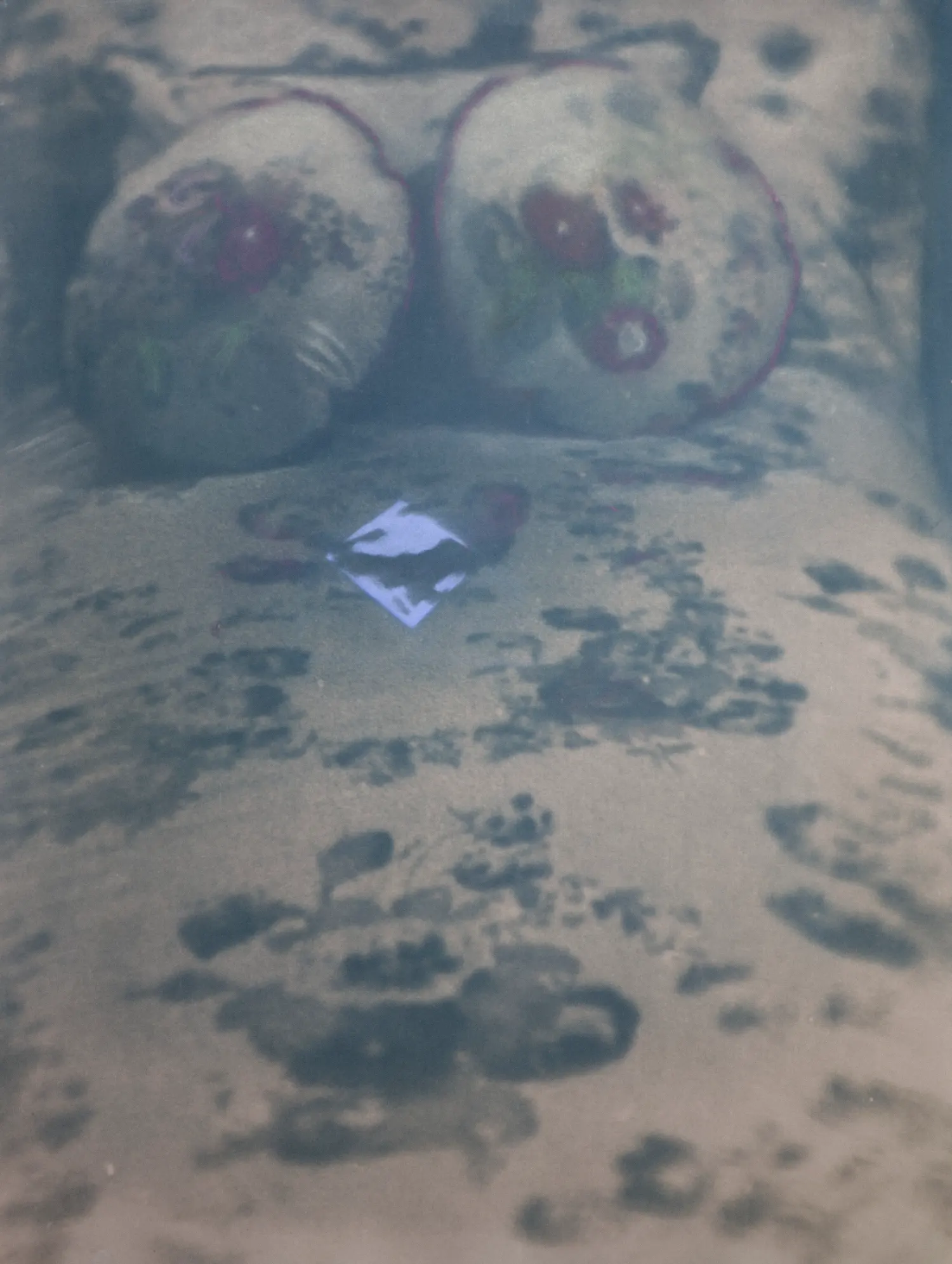 artwork by Lee O'Connor